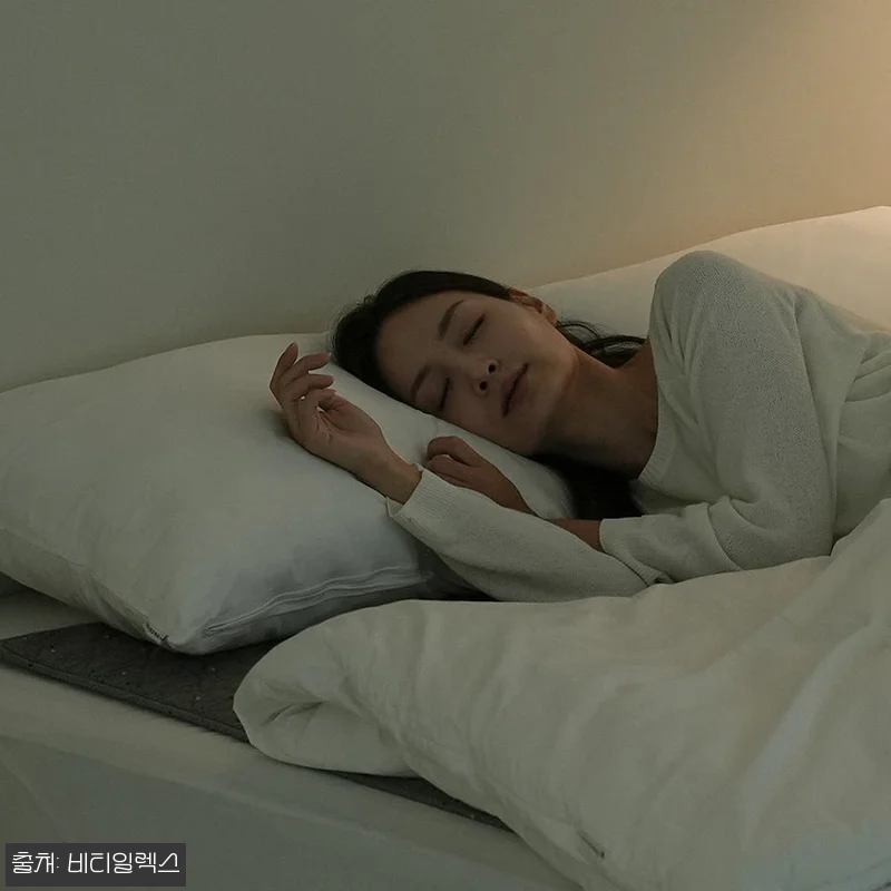 비티일렉스 단잠 탄소매트 싱글, 8m 관련 이미지 3