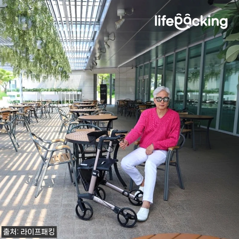 노인 보행기 보행보조기 어르신 실버카 관련 이미지 5