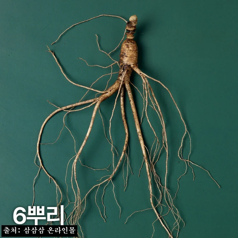 Home 70 10년근 산양산삼 6뿌리, 품질검사 확인하고 고른 국산 산양삼 선물템 후기